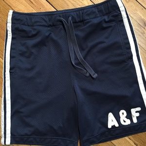Abercrombie & Fitch Blue Mesh Drawstring Shorts L